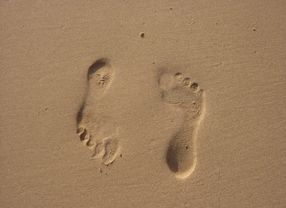Happy Feet Happy Feet