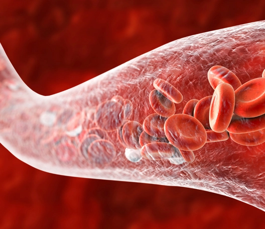 Blood Cells blood