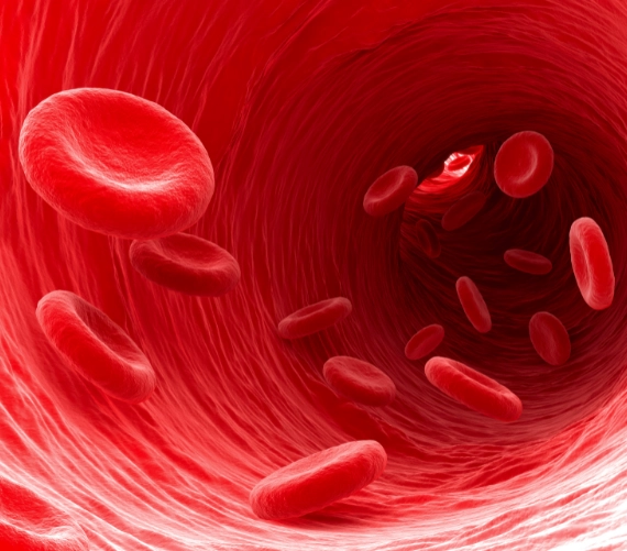 Blood Cells blood