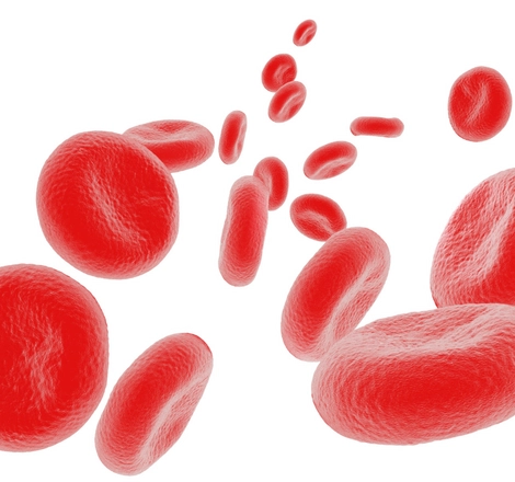 Cells blood