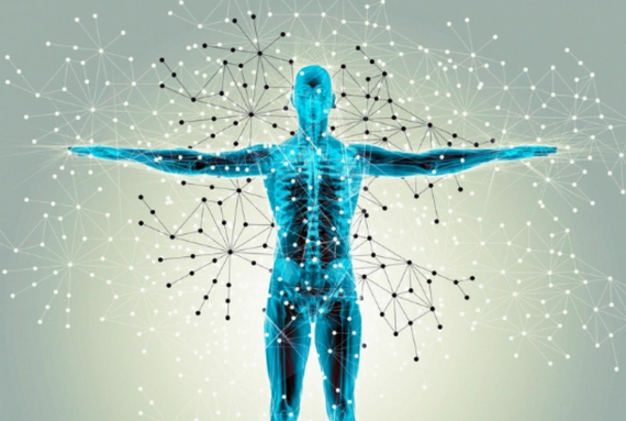 Immune System immune